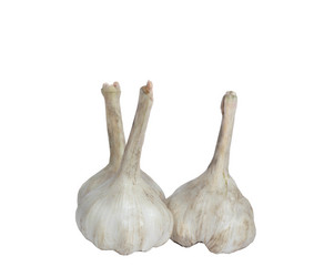 Similar image 2803484