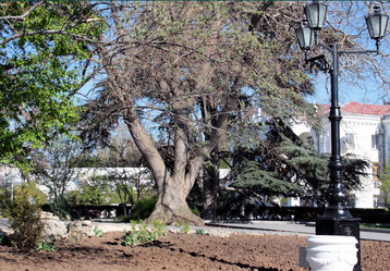 Similar image 2803487