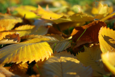 Similar image 2803563