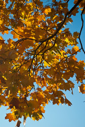 Similar image 2803564