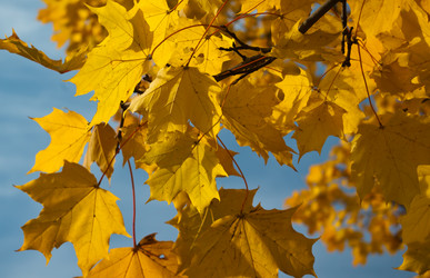 Similar image 2803565