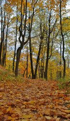 Similar image 2803566