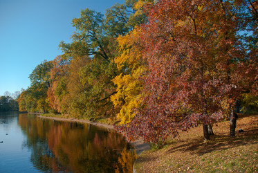 Similar image 2803569