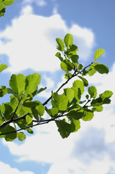 Similar image 2803572