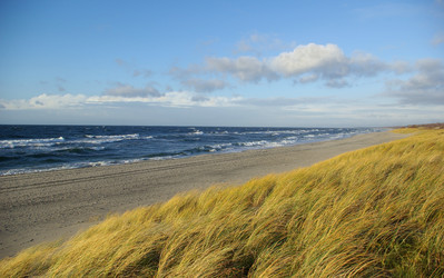 Similar image 2803586