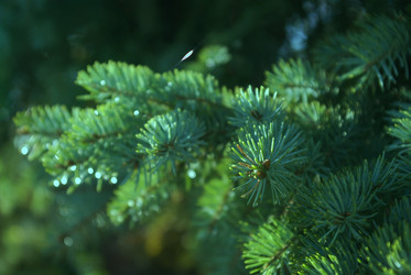 Similar image 2803594