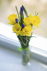 Similar image 2803623