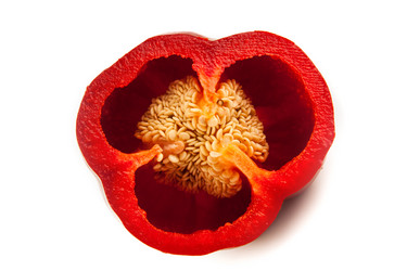 Similar image 2803771