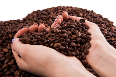 Similar image 2803812