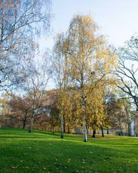 Similar image 2804182