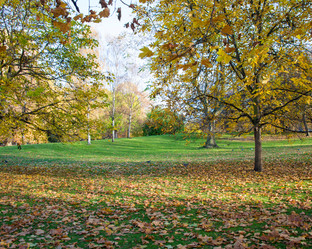 Similar image 2804187