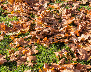 Similar image 2804188