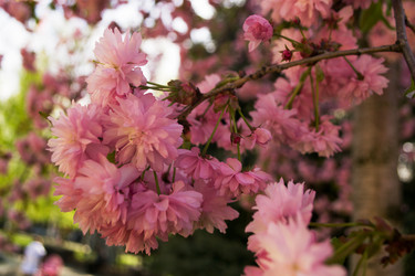 Similar image 2804212