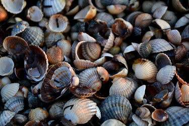 Similar image 2804213