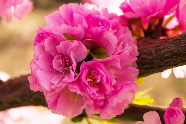 Similar image 2804215