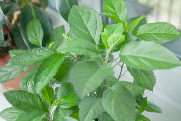 Similar image 2804236