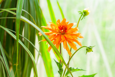 Similar image 2804285