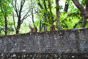 Similar image 2804291