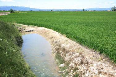 Similar image 2804436