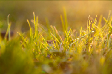 Similar image 2804736