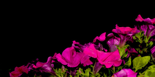 Similar image 2804737