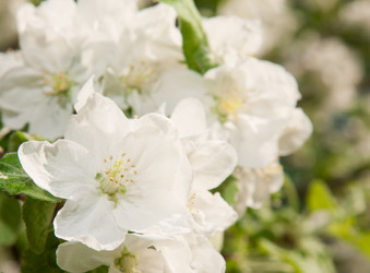 Similar image 2804738