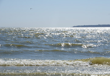 Similar image 2805154