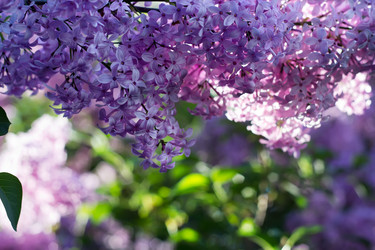 Similar image 2805273