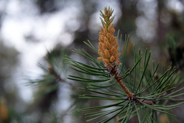 Similar image 2805399