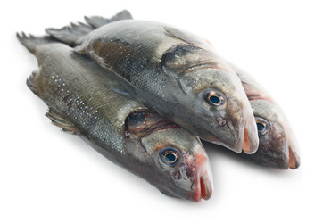 Similar image 2806041