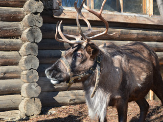 Similar image 2806075