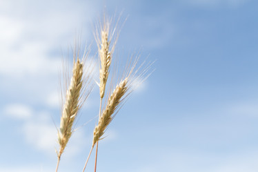 Similar image 2806125