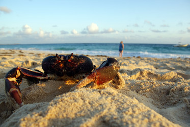 Similar image 2806133