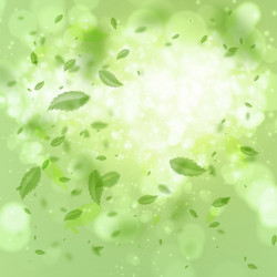 Similar image 2806147