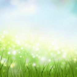 Similar image 2806149