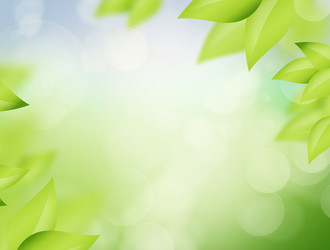 Similar image 2806174