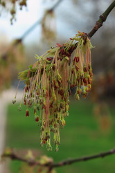 Similar image 2806208