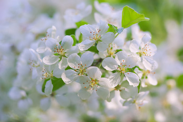 Similar image 2806211