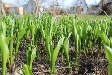 Similar image 2806219