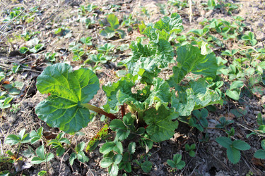 Similar image 2806221