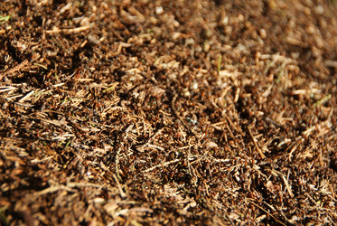 Similar image 2806232