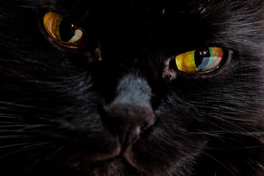 Similar image 2806352