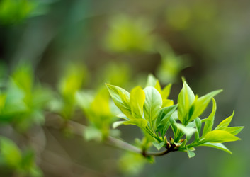 Similar image 2806577