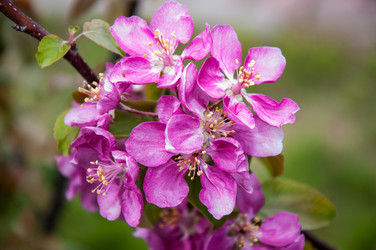 Similar image 2806579