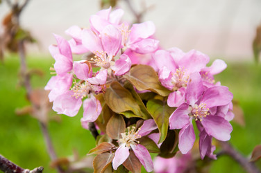 Similar image 2806580