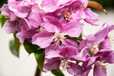 Similar image 2806582