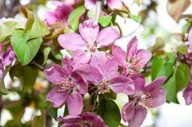 Similar image 2806583