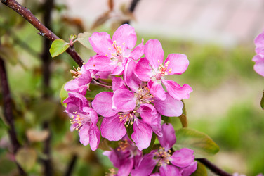 Similar image 2806585