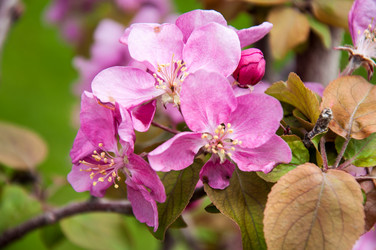 Similar image 2806586