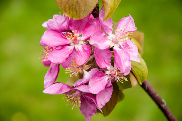 Similar image 2806589